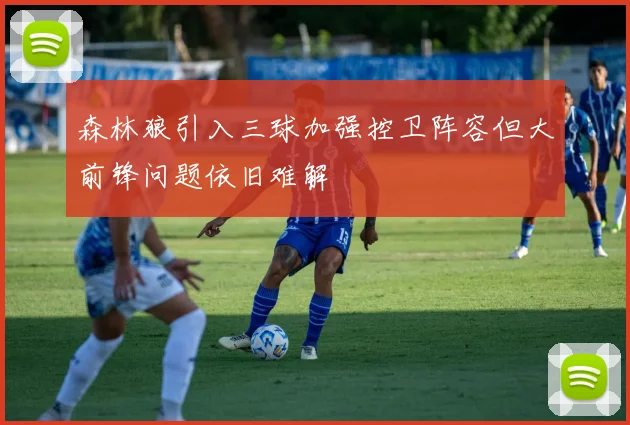 森林狼引入三球加强控卫阵容但大前锋问题依旧难解